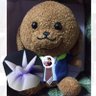 Profilbild von くーみん