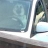 Sandi's profile picture