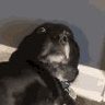 Nono's profile picture