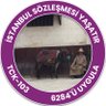 Münir Ümit Uğurlu's profile picture