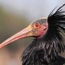 Фото профиля anatolitodorov