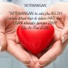 Ridwan 的头像
