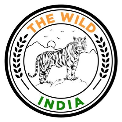 The Wild India's profile picture