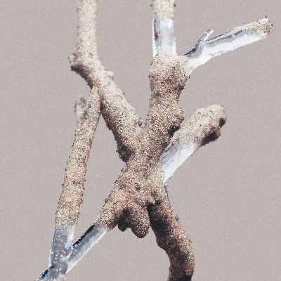 studiotaktil's profile picture