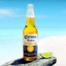 Corona & Lyme profil fotoğrafı