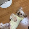 やすのぶ 的头像