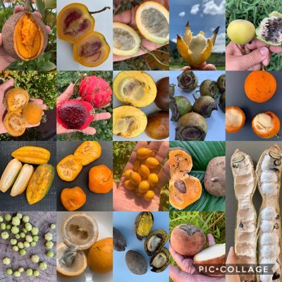 Frutas de Colombia's profile picture
