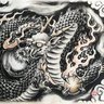 鬼頭麗虎's profile picture