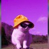 cindy|📖 profil fotoğrafı