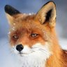 Aspender El Zorro's profile picture