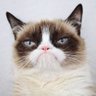 Herp Derp profil fotoğrafı