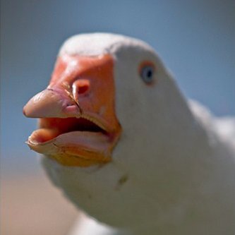 DolanDark's profile picture