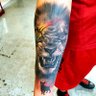 Romanian Lion 206's profile picture