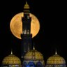 Фото профиля محمد الكثيري