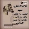 Фото профиля ابونمر