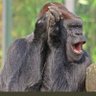 Profilbild von googlooom fush