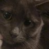 Profilbild von Michi Feliz