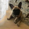DocHolidaze profil fotoğrafı