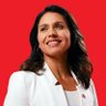 Profilbild von Tulsi For President🌺