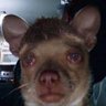 Profilbild von depressionman