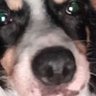 Profilbild von Hope