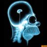 Profilbild von wellokthenben