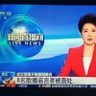 Profilbild von 滞纳的野爹之一