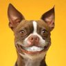 Lobaka's profile picture