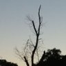 labigitolumla's profile picture