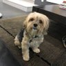 Charlie! 的头像
