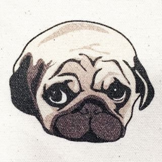 パグスタイルヨウイチ's profile picture