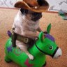 :)'s profile picture