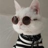enrique's profile picture