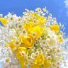 الواثقه بالله profil fotoğrafı