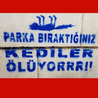 Parkkedisi's profile picture