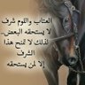 Фото профиля حسين