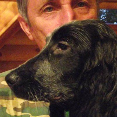 1244_Dervish's profile picture