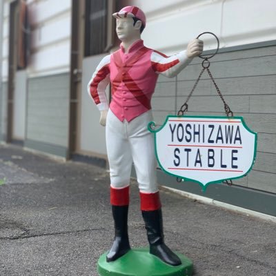 吉澤ステーブル's profile picture