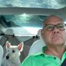 TeslaFSD-David Connaughton profil fotoğrafı