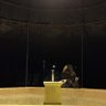Фото профиля metameera