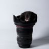 Фото профиля noel marom
