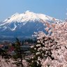 Фото профиля なおき