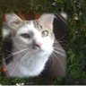 Marcie McKenna SG1 profil fotoğrafı