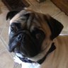 Thea's profile picture