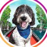 Profilbild von MooseTheCreekDog