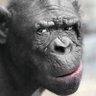 Profilbild von Moñoño