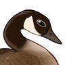 Quick Goose's profile picture