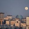 ابن بغداد's profile picture