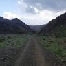 سليمان الجهني،، 的头像