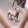 ghyzzz 的头像
